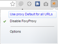 options-foxyproxy